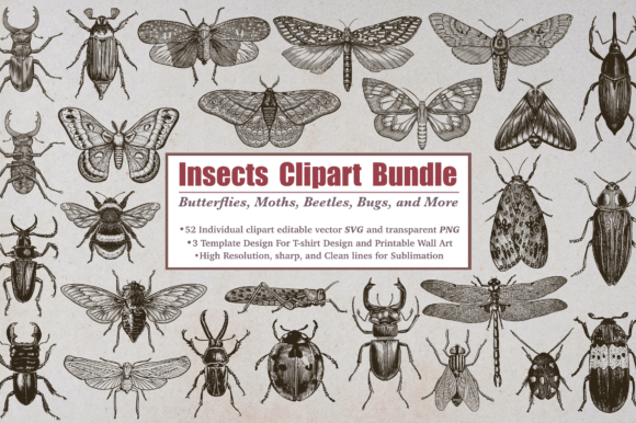 Download Insect Clipart Bundle - Art Collection