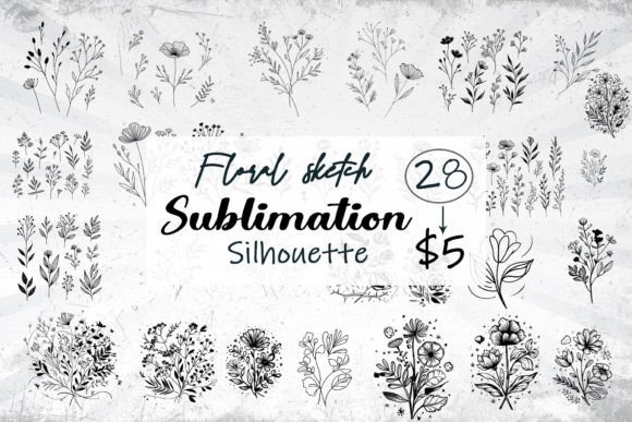 Download Botanical Graphic Floral Sketch Drawing - Floral Collection
