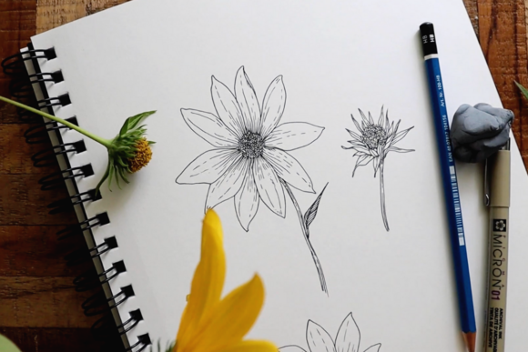 Download Floral Drawing Basics Part I: Inspiration, Tools + Basics Techniques - Art Collection