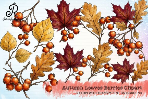 Download Autumn Leaves Berries Clipart - Art Collection