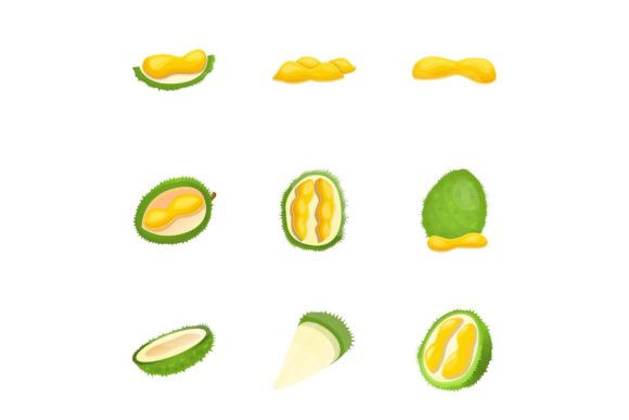 Download Tropical Durian Icon Set, Cartoon Style - Art Collection